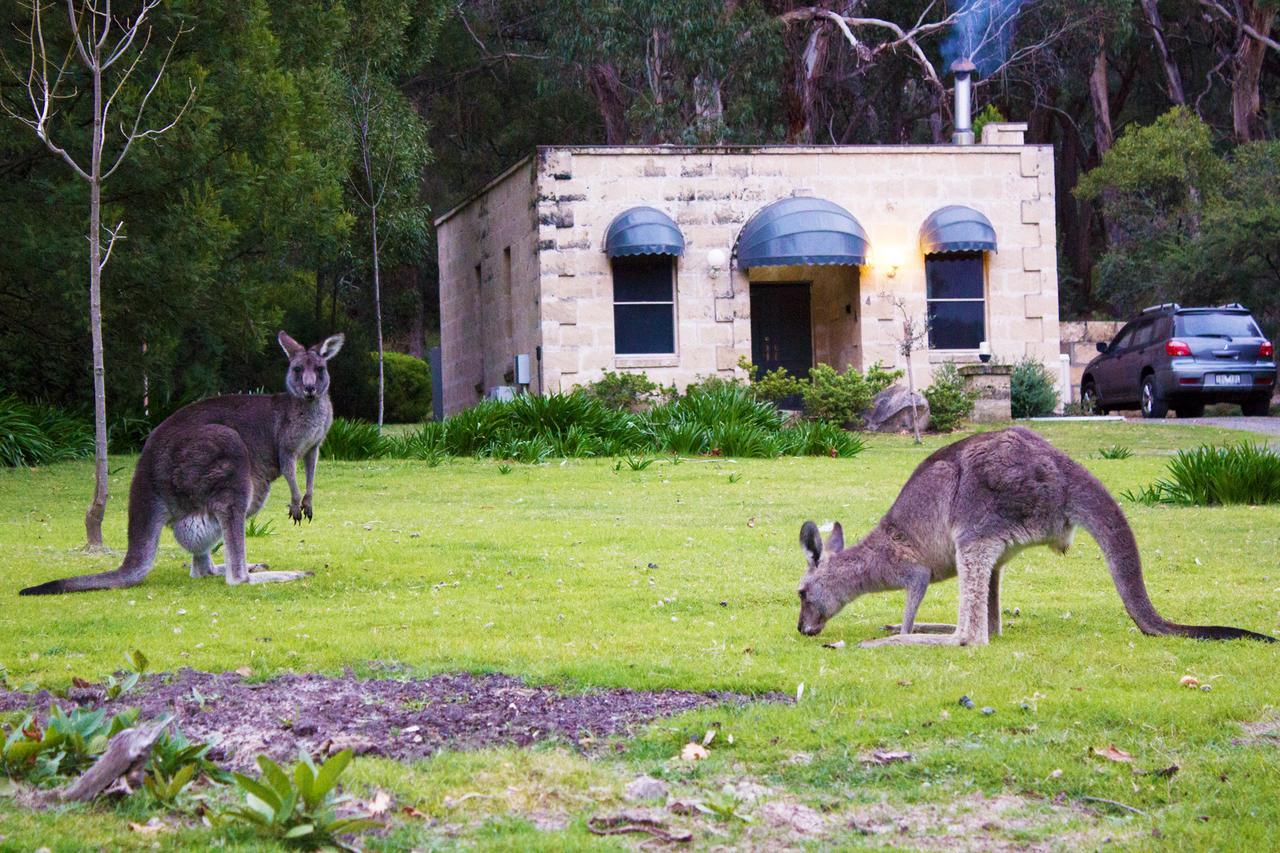 Marwood Villas Halls Gap Eksteriør bilde