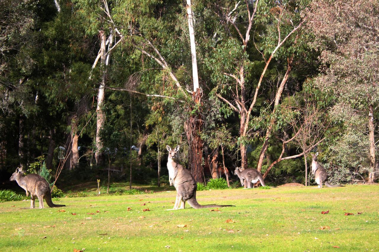Marwood Villas Halls Gap Eksteriør bilde