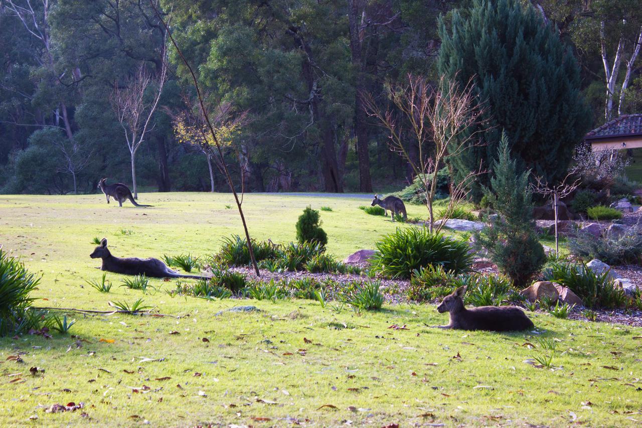 Marwood Villas Halls Gap Eksteriør bilde